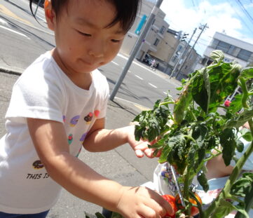 22年度 れあの風保育園の新規受付につい